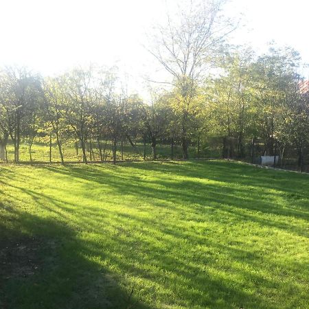 Green Nest Băneşti Exteriör bild